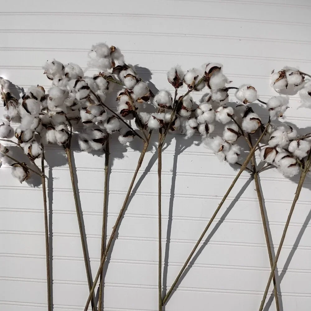 9 Pc Artificial Cotton Stems 24-26